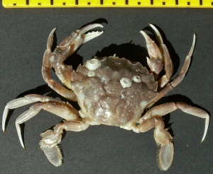 © Thijs de Boer © Thijs de Boer